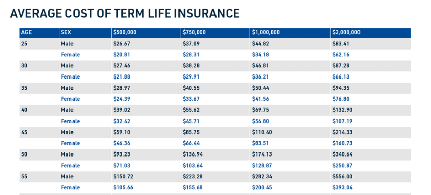 Term life insurance rates