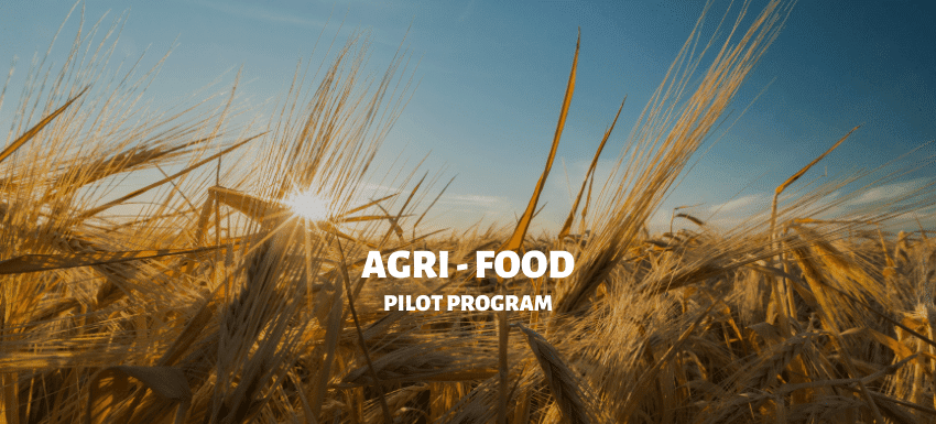 AGRI FOOD PILOT PROGRAM - AG Group